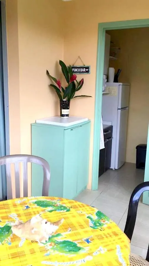 Appartement Cosy A Sainte Anne 35 M² Avec Jardin Martinique