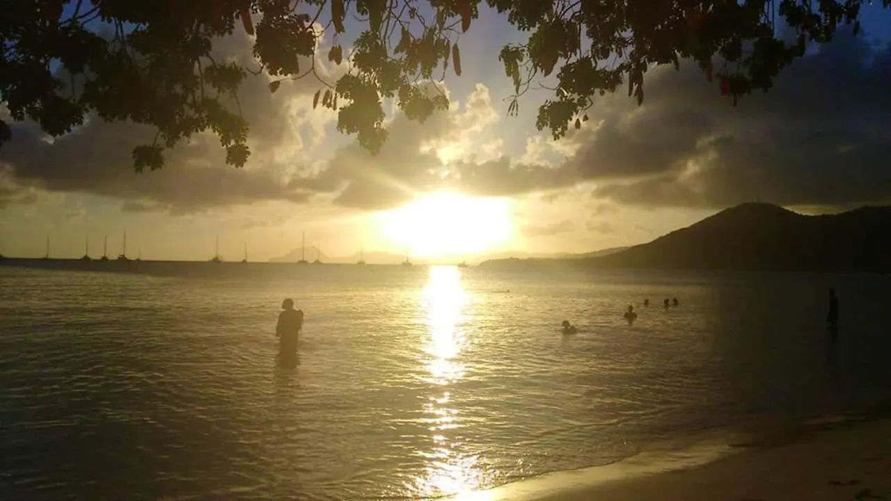 Apartment Appartement Cosy A Sainte Anne 35 M² Avec Jardin Martinique